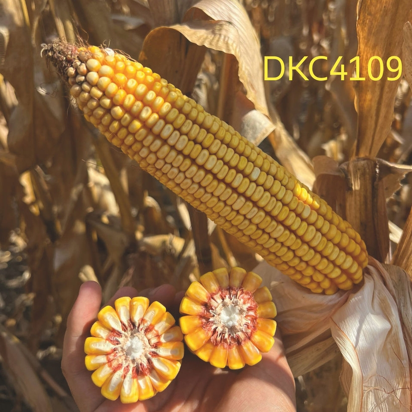 Ambalajul produsului