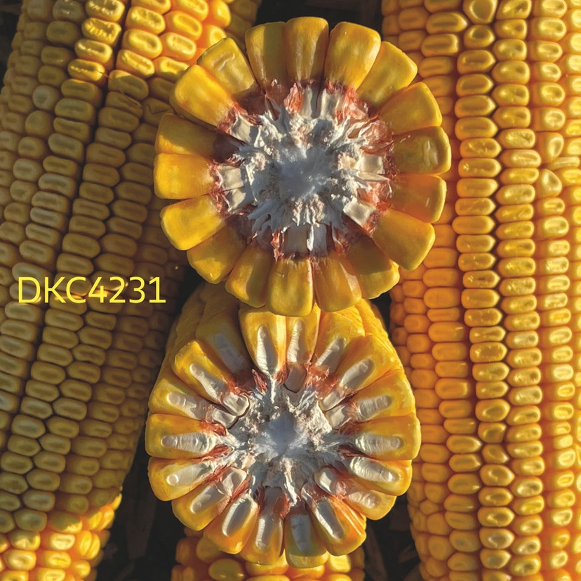 Ambalajul produsului