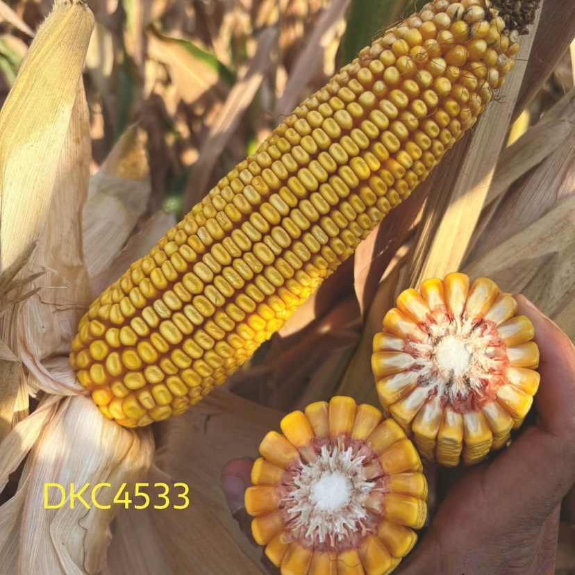 Ambalajul produsului