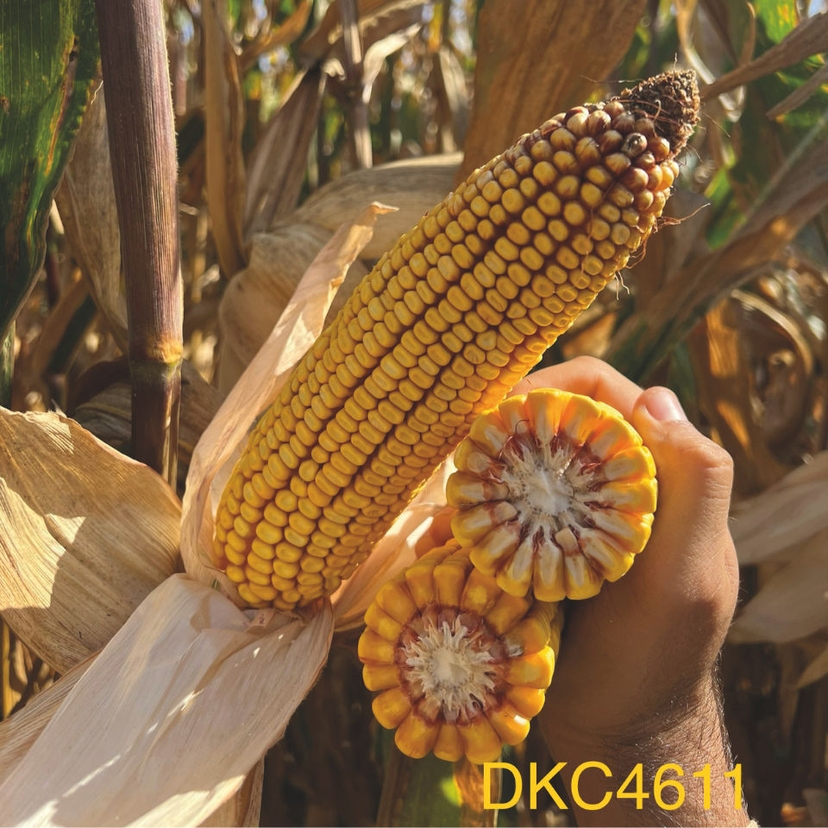 Ambalajul produsului