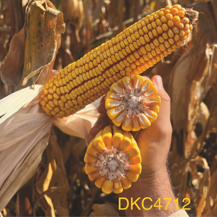 Ambalajul produsului