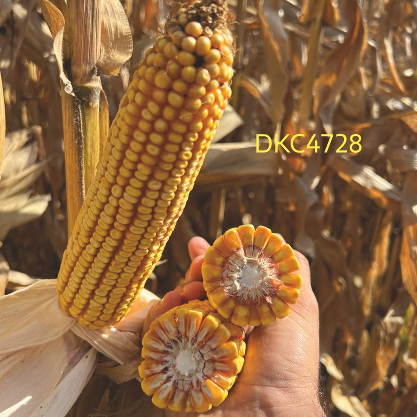 Ambalajul produsului