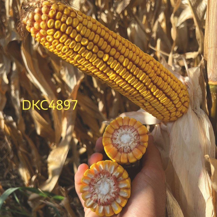 Ambalajul produsului