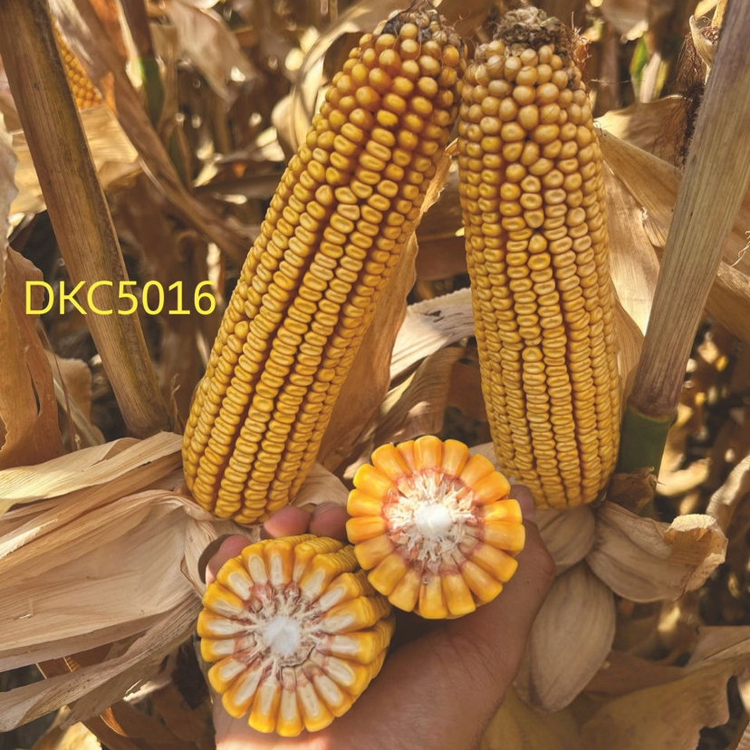 Ambalajul produsului