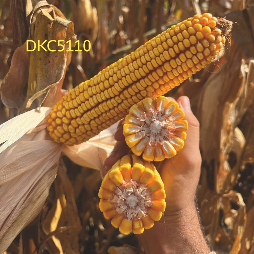 Ambalajul produsului