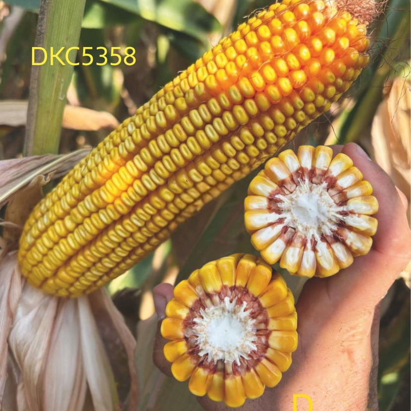 Ambalajul produsului