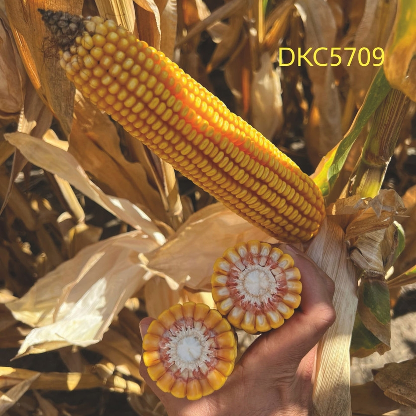 Ambalajul produsului