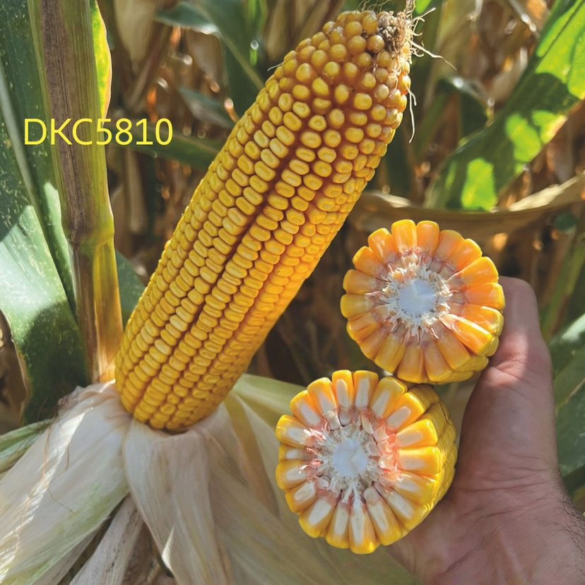 Ambalajul produsului