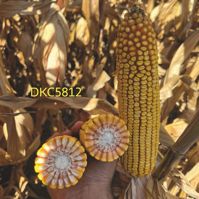 Ambalajul produsului