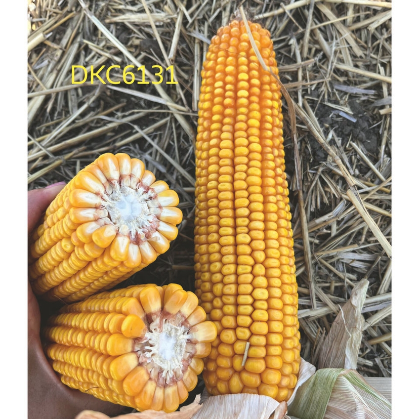 Ambalajul produsului