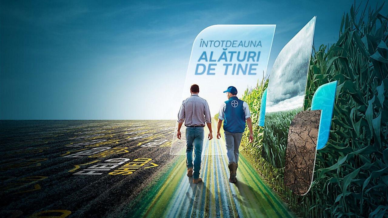 Hibrizii de porumb FieldShield