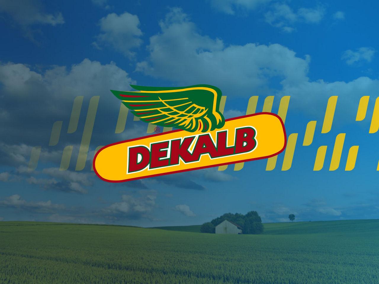 Semințe | Bayer