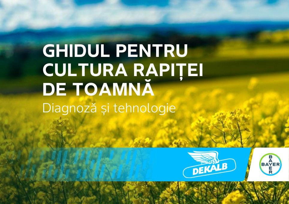 Ghid complet pentru cultura rapiței de toamnă