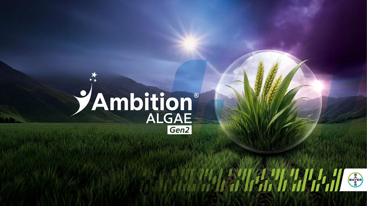 T1: 10% CADOU + Inovație 