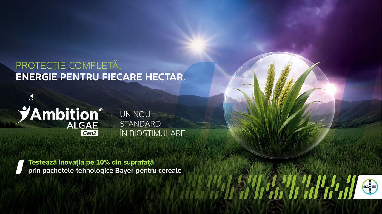 T1: 10% CADOU + Inovație 