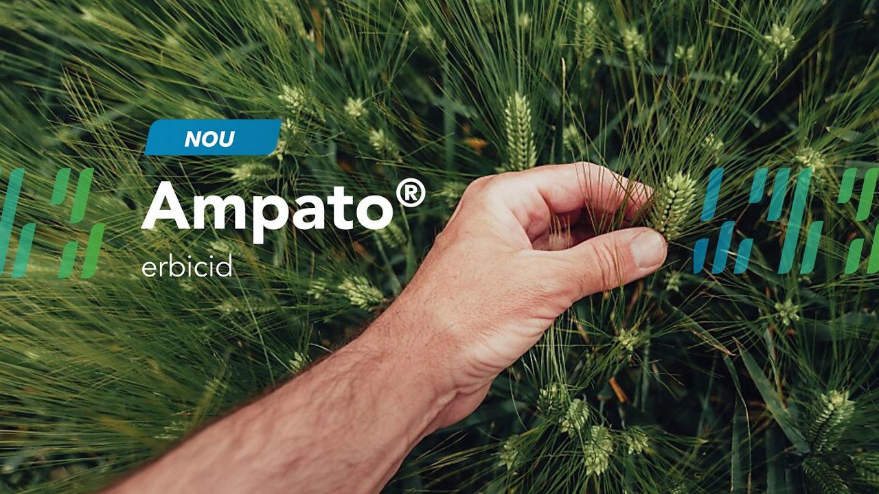 AMPATO® –  NOUL Erbicid Bayer pentru cereale păioase