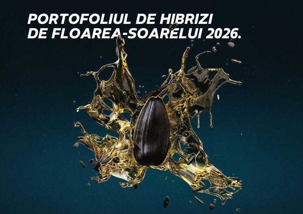 Portofoliul de floarea-soarelui DEKALB® 2026