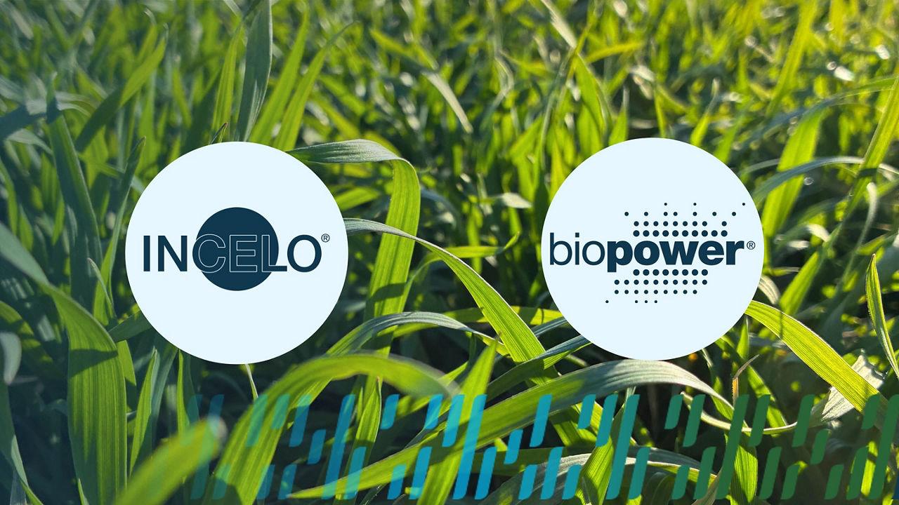 Pachet Tehnologic INCELO – Erbicid sistemic cu aplicare postemergentă, destinat combaterii buruienilor graminee și cu frunză lată din culturile de grâu, triticale și secară de toamnă.