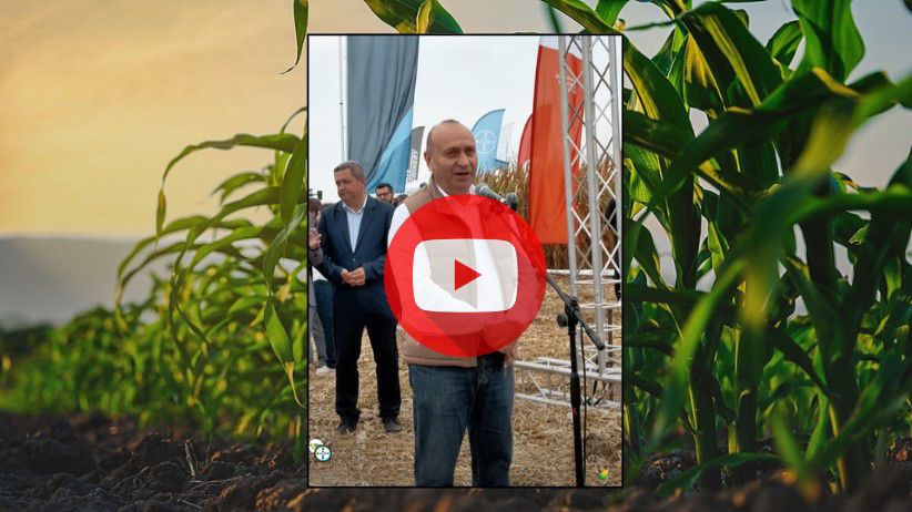 Bayer anunță produse revoluționare pentru cultura porumbului! 