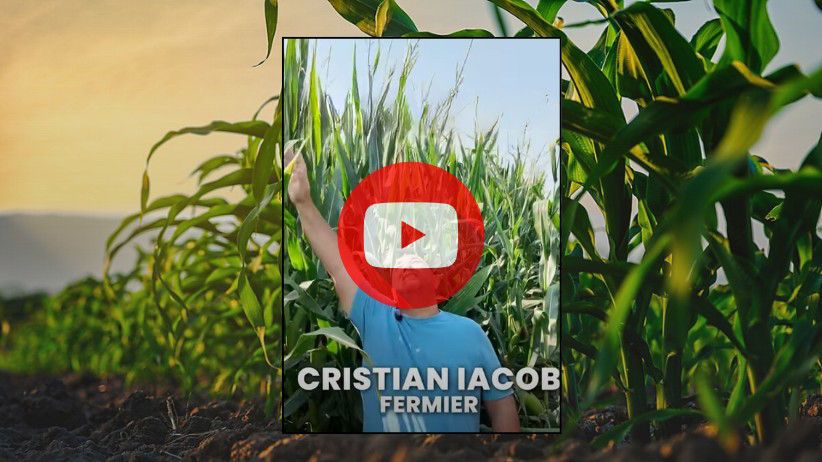 Ce producție credeți că vom avea la Ialomița, la irigat? 