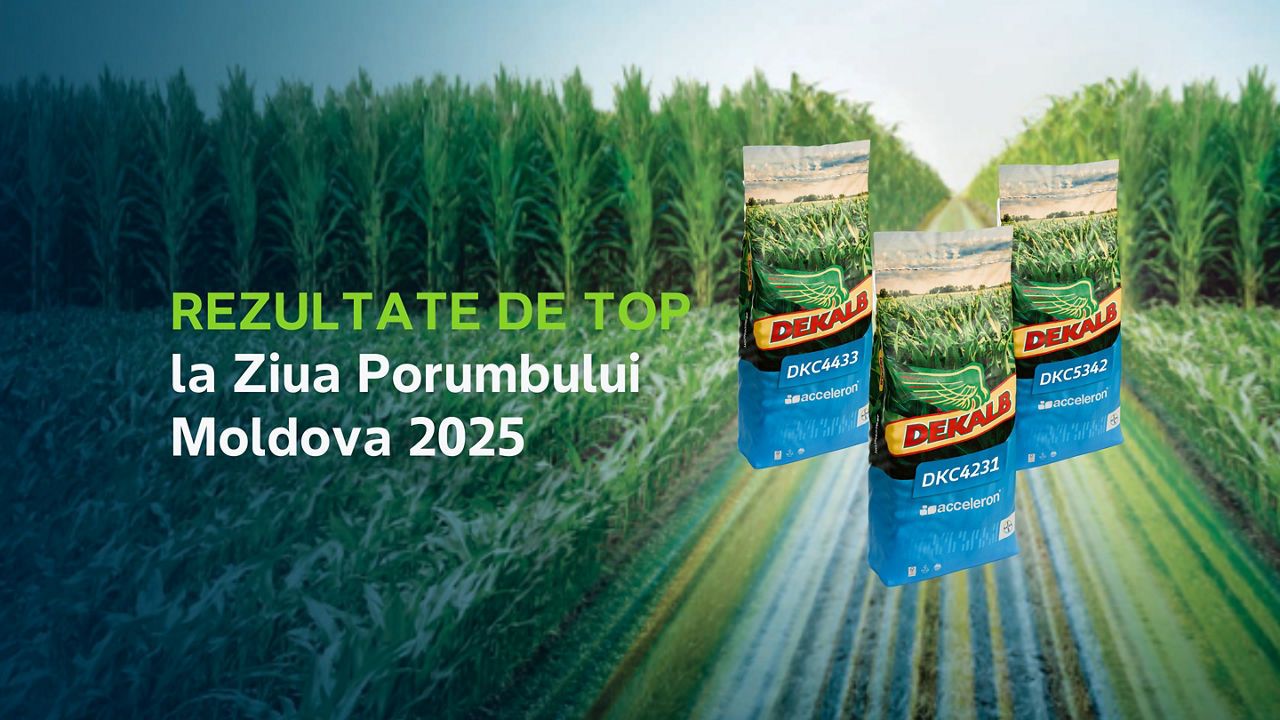 DEKALB® câștigă Ziua Porumbului Moldova 2025! 