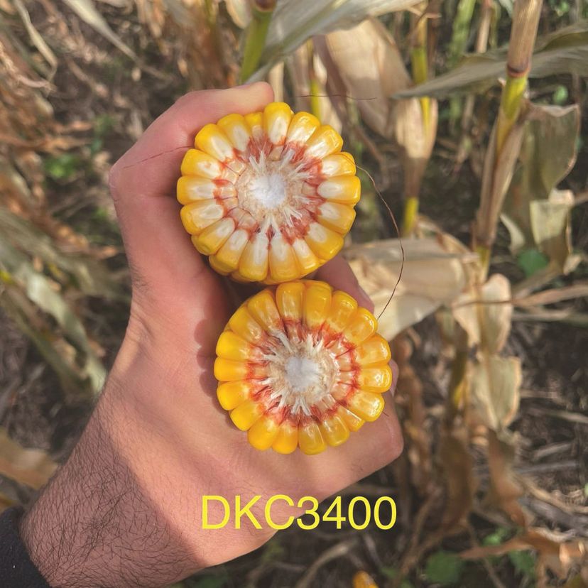 Ambalajul produsului