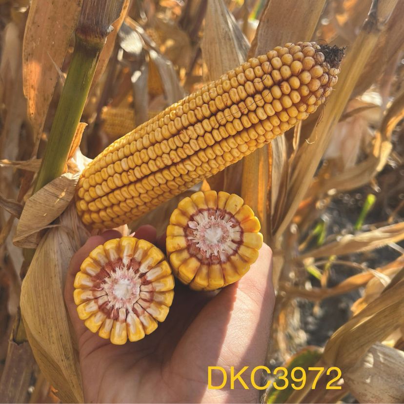 Ambalajul produsului