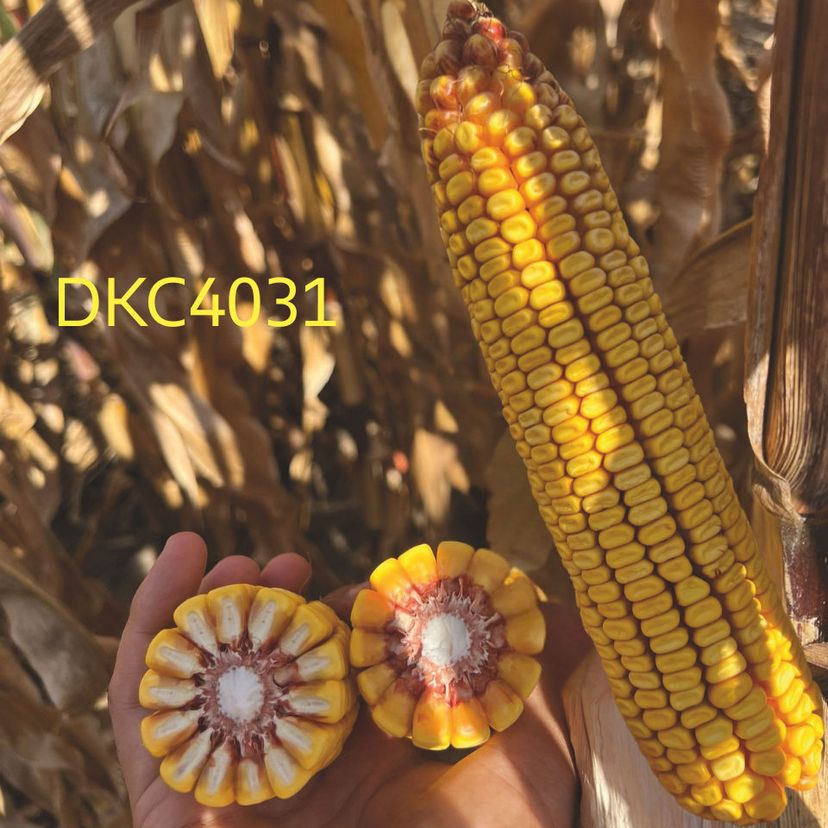 Ambalajul produsului