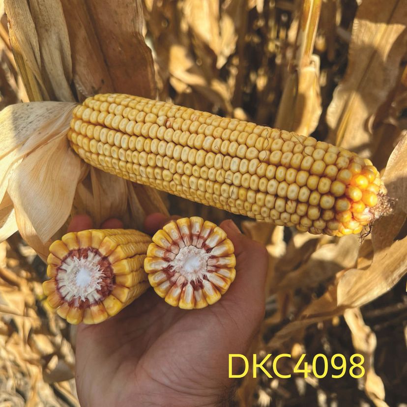 Ambalajul produsului