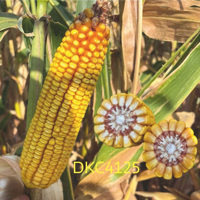 Ambalajul produsului