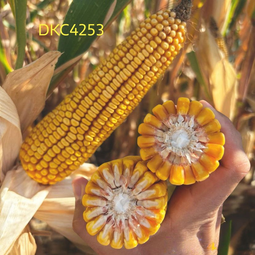 Ambalajul produsului