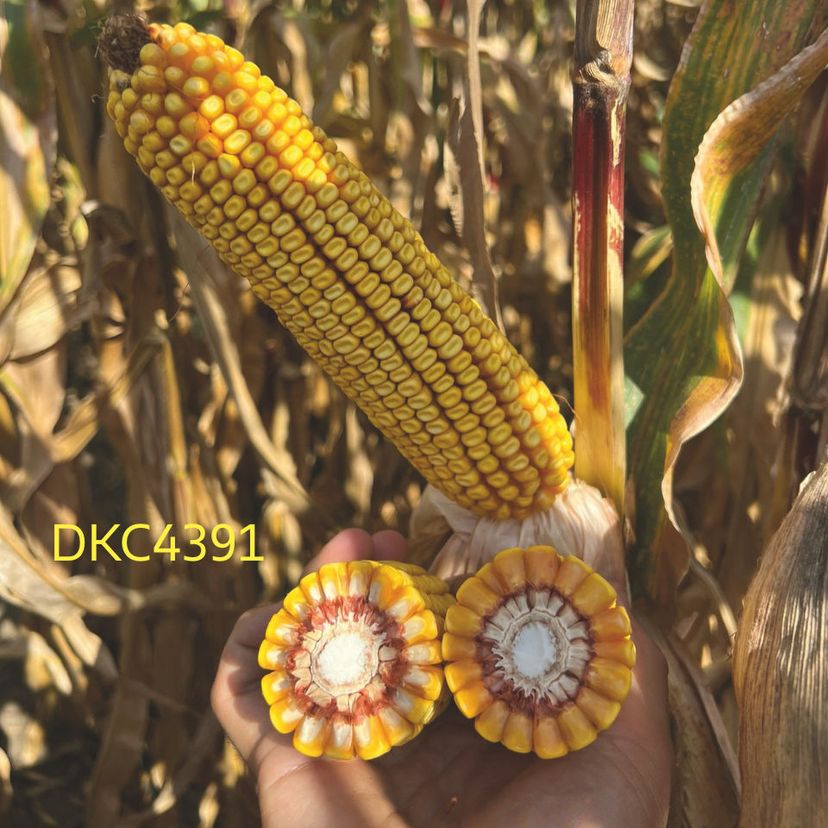 Ambalajul produsului