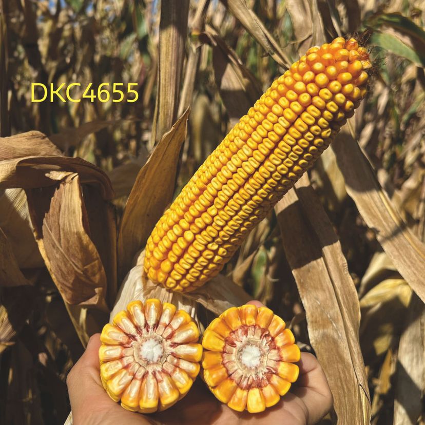 Ambalajul produsului