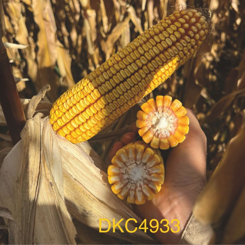 Ambalajul produsului