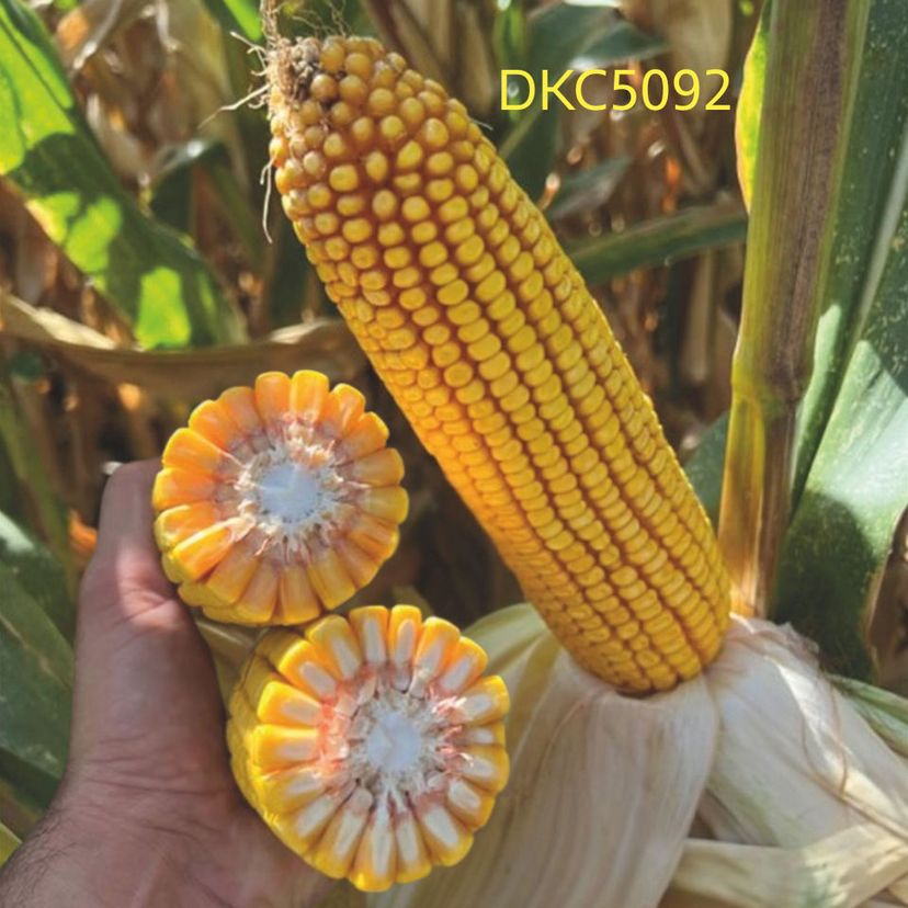 Ambalajul produsului