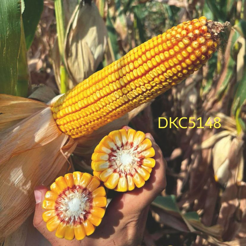 Ambalajul produsului