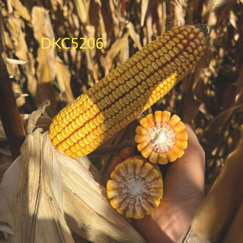 Ambalajul produsului