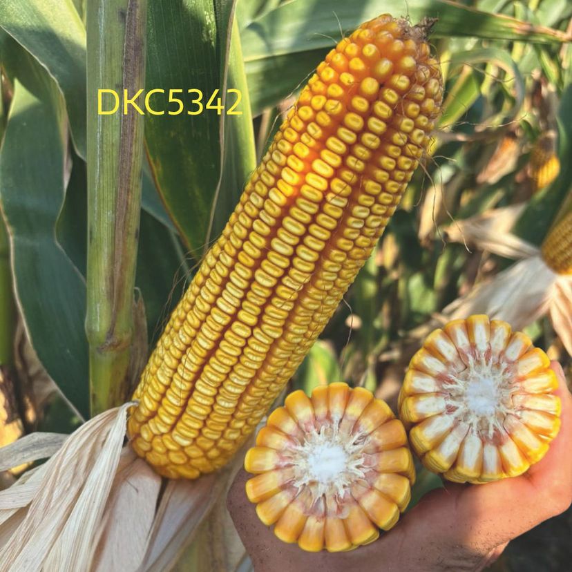 Ambalajul produsului