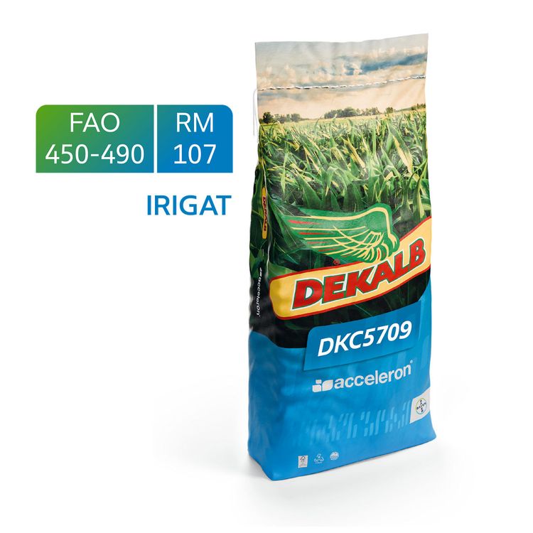 DKC5709 | Bayer