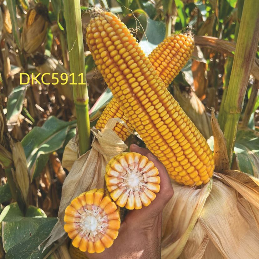 Ambalajul produsului