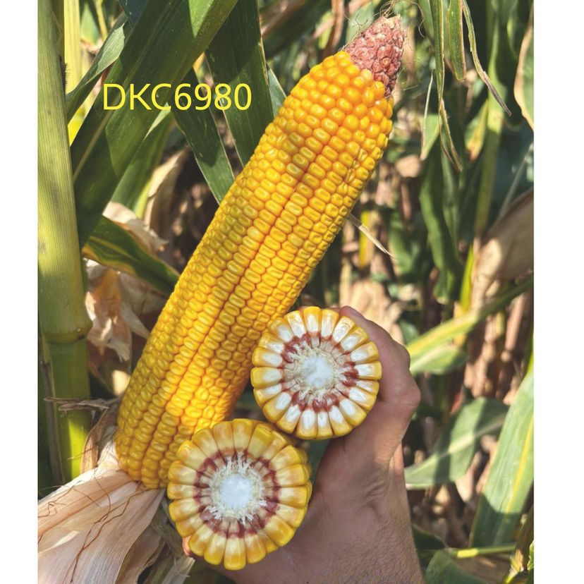 Ambalajul produsului