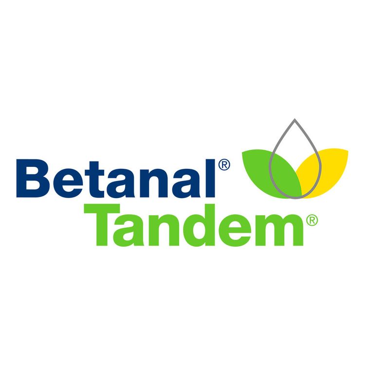 Ambalajul produsului 1