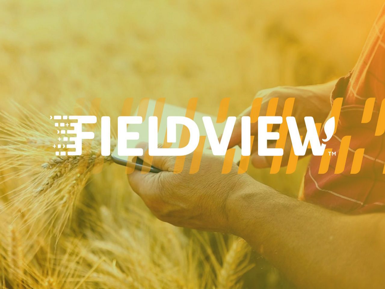 Beneficiezi de 1 an gratuit de FieldView!