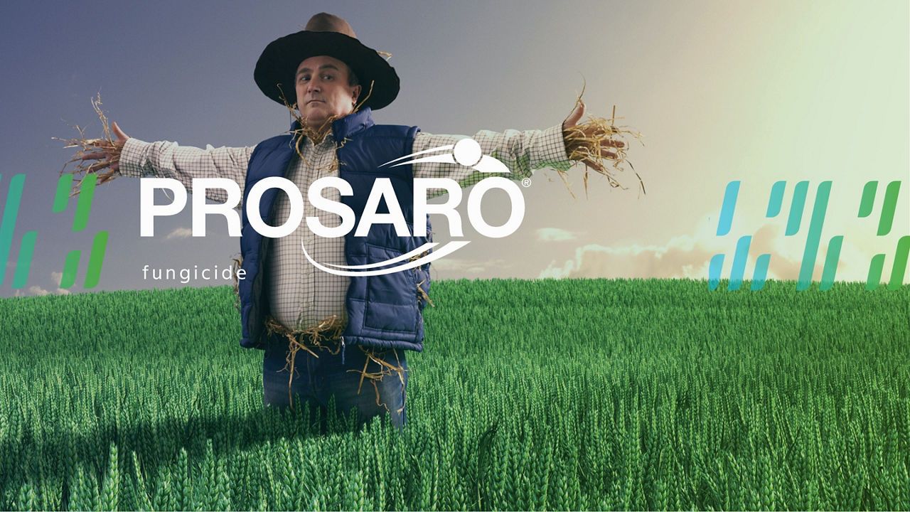 Prosaro®  250 EC: protecția spicului