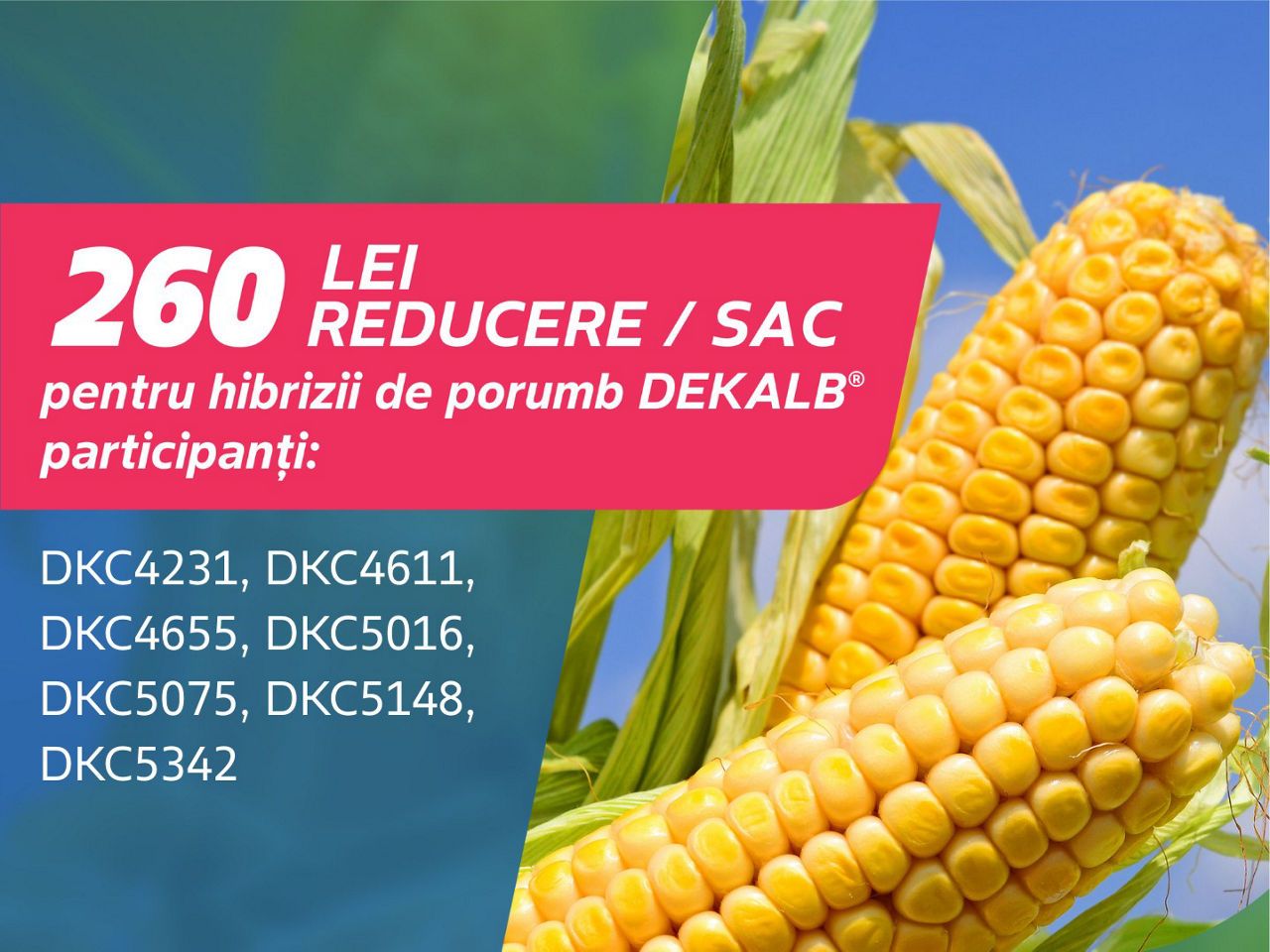 Voucher semințe porumb