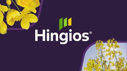 Hingios® – pentru dezvoltarea optimă a plantelor de rapiță