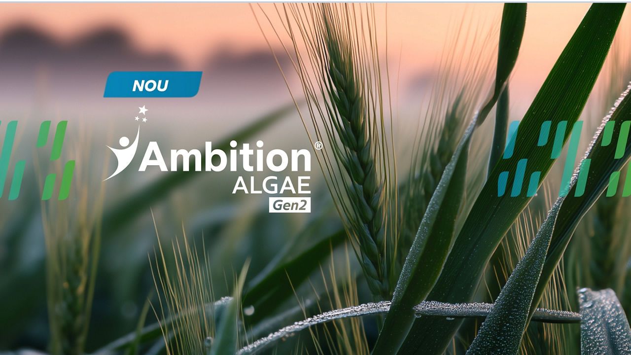Ambition ALGAE Gen2 pentru cereale păioase: energie din alge, toleranță la stres și promoție 10%