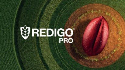 Redigo® Pro – Soluția completă pentru un start sigur în cultura de cereale