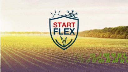 Hibrizi Start Flex pentru semănatul timpuriu