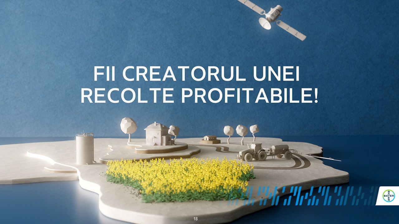 Noua campanie de rapiță a început!